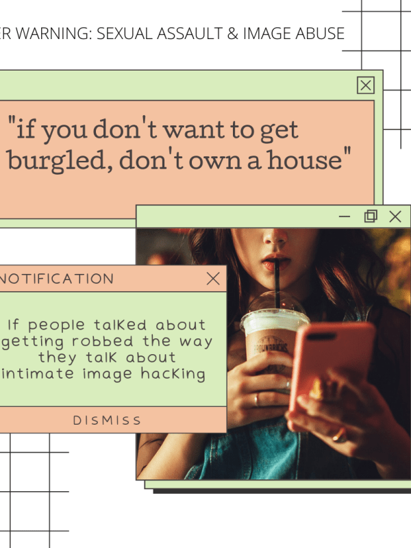 Intimate Image Abuse&nbsp;II