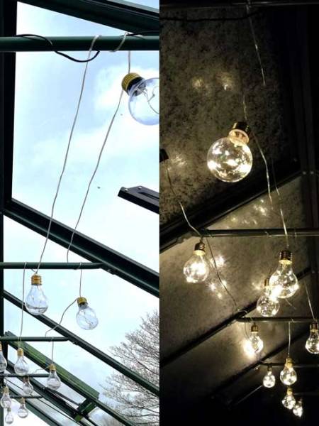 Ideas for Lighting Your&nbsp;Greenhouse