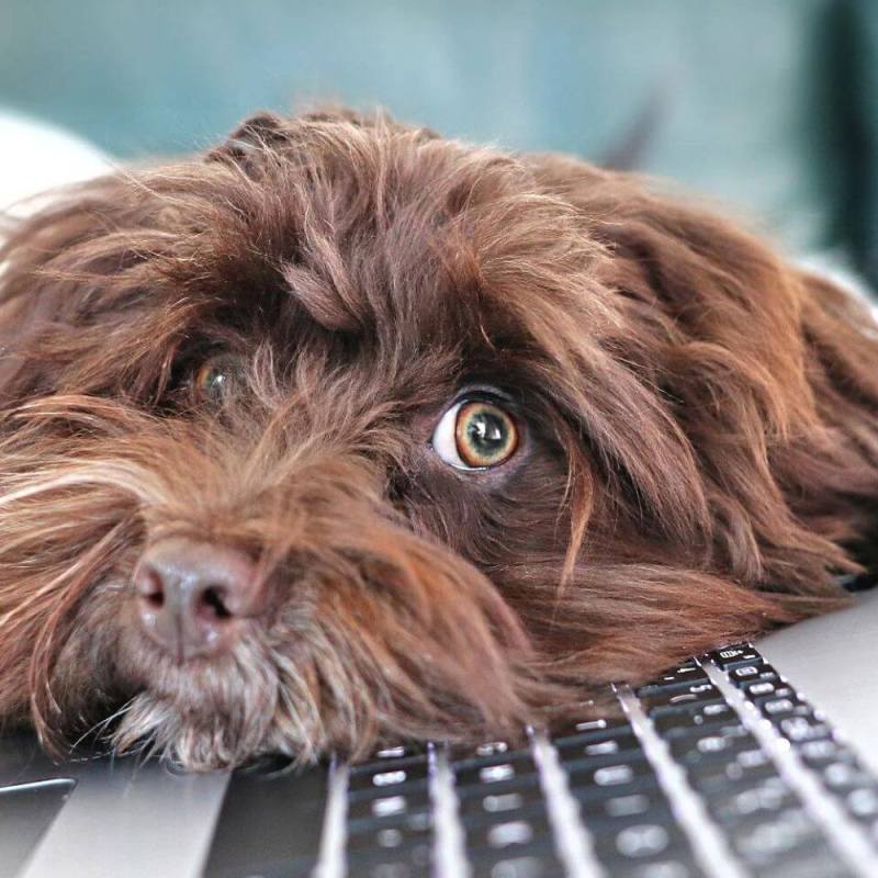 10+ reasons to start business&nbsp;blogging